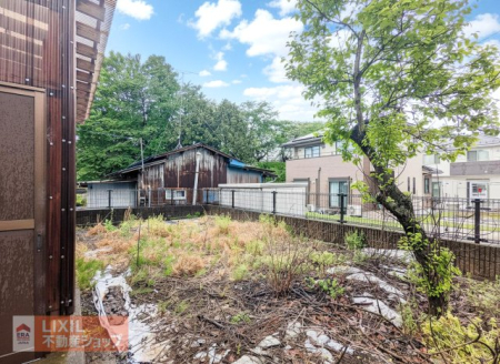 ���̑� ��