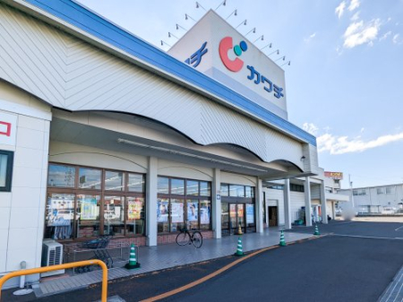  �y�h���b�O�X�g�A�z�J���`��ǁ@�ʐ��X�܂�247��