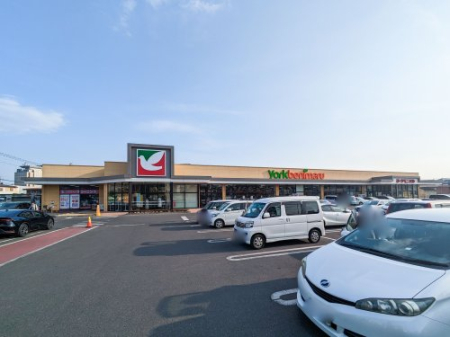  �y�X�[�p�[�z���[�N�x�j�}���ˍՓX�܂�1712��