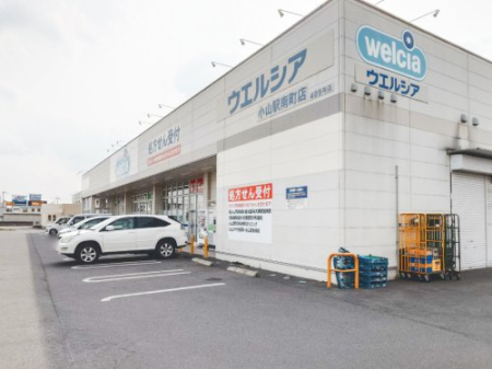  �y�h���b�O�X�g�A�z�E�G���V�A���R�w�쒬�X�܂�953��