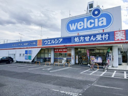  �y�h���b�O�X�g�A�z�E�F���V�A�@���R�V�_�X�܂�922��